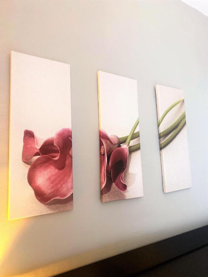 Elegant Georgian Apartment Near Clifton Village บริสตอล ภายนอก รูปภาพ